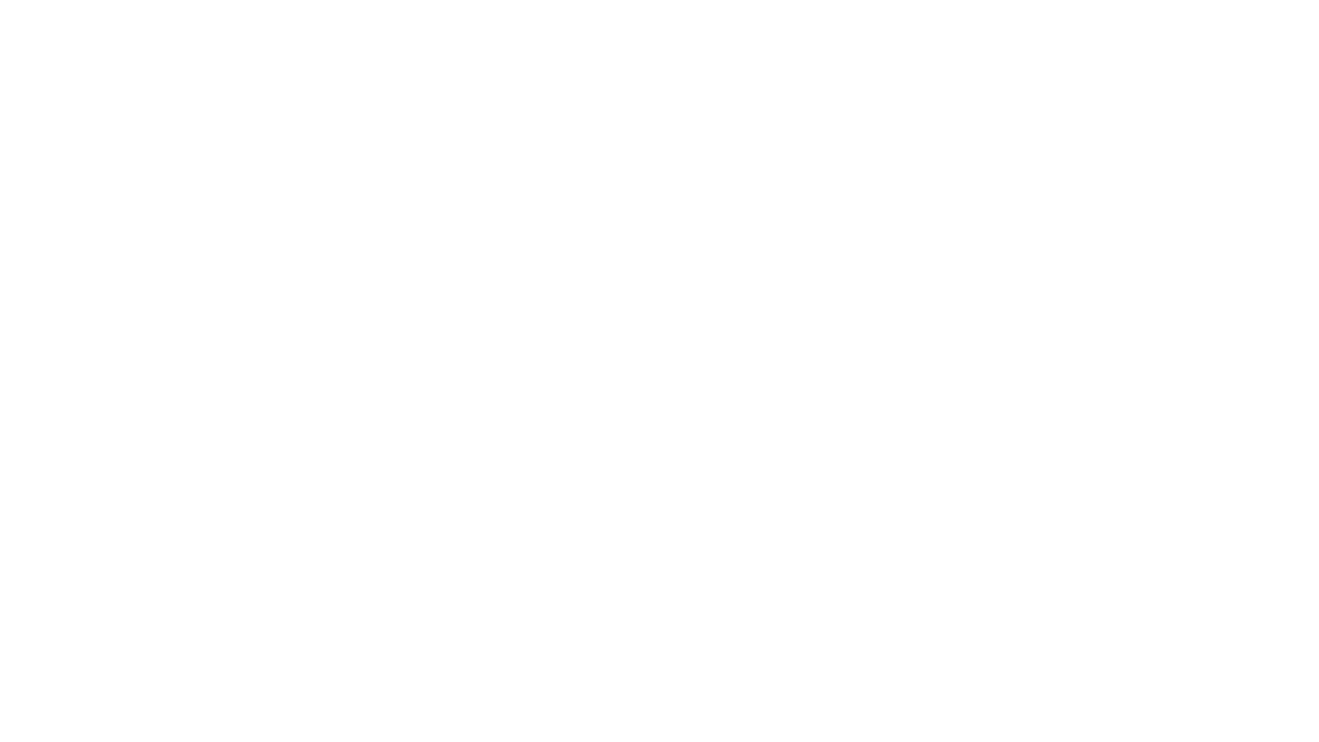 HawksWave Logo